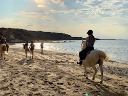 Photo de Millers Beach avec un rivage spacieux