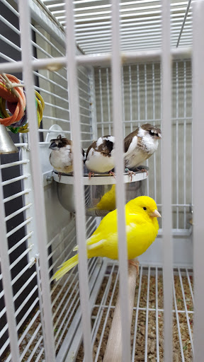 Pet Supply Store «Pet Supplies Plus», reviews and photos, 135-25 79th St, Howard Beach, NY 11414, USA