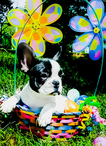 Golf Club «Citrus Hills Golf Country Club», reviews and photos, 509 E Hartford St, Hernando, FL 34442, USA