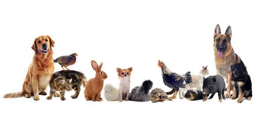 Twin Oaks Veterinary Hospital image