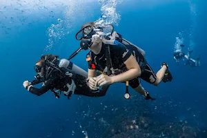 Big Blue Diving School Koh Tao, Thailand image