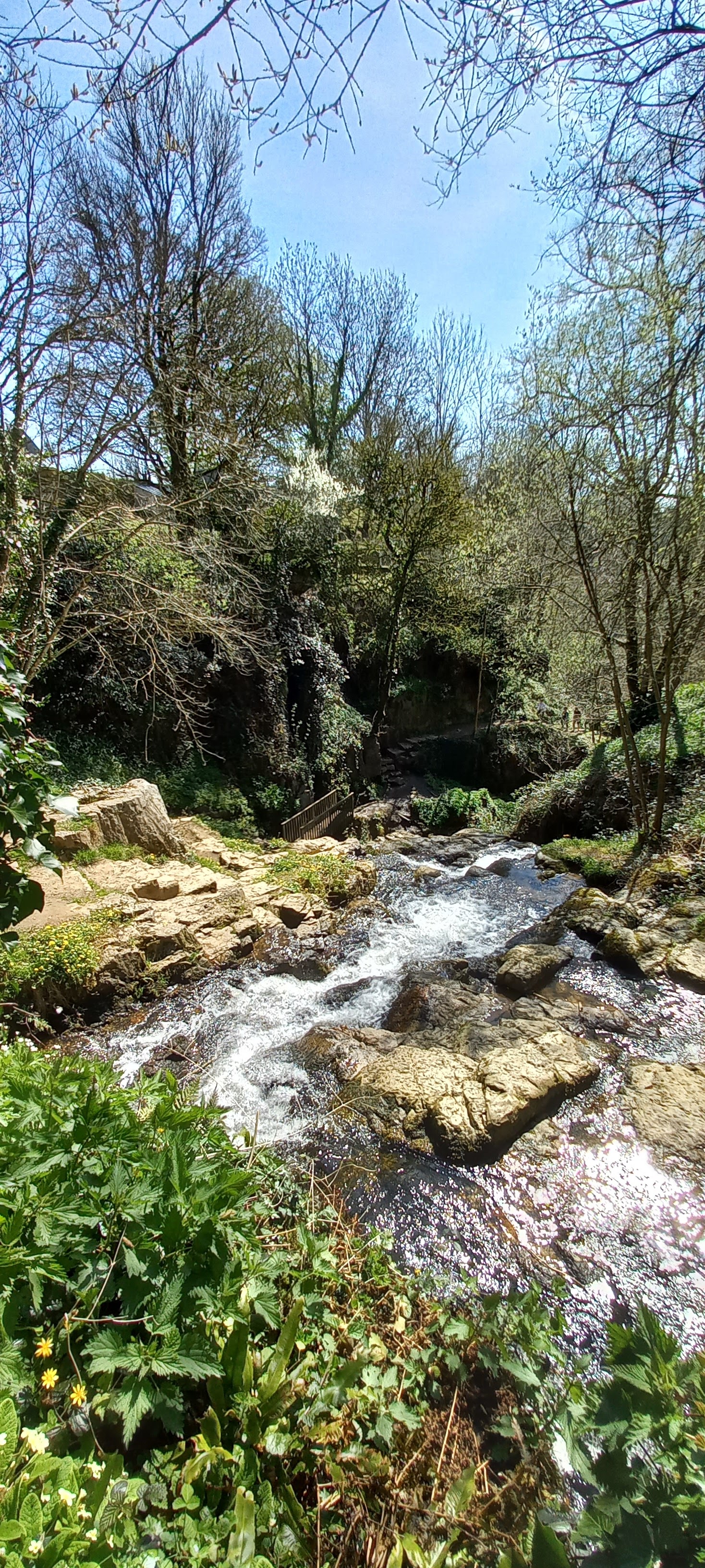Photo n° 5 de l'avis de Françoise.o fait le 16/04/2023 à 15:18