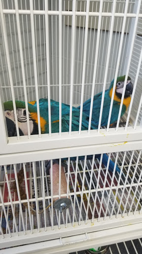 Pet Store «Adventure Birds of Bon Aqua», reviews and photos, 9600 TN-46, Bon Aqua, TN 37025, USA