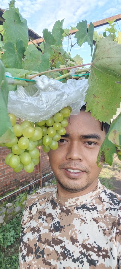 Surabaya Anggur