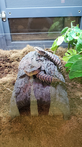 Pet Supply Store «Petco Animal Supplies», reviews and photos, 3495 Sports Arena Blvd, San Diego, CA 92110, USA