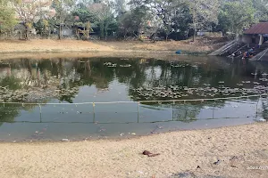 Kodungallur Temple Pond image