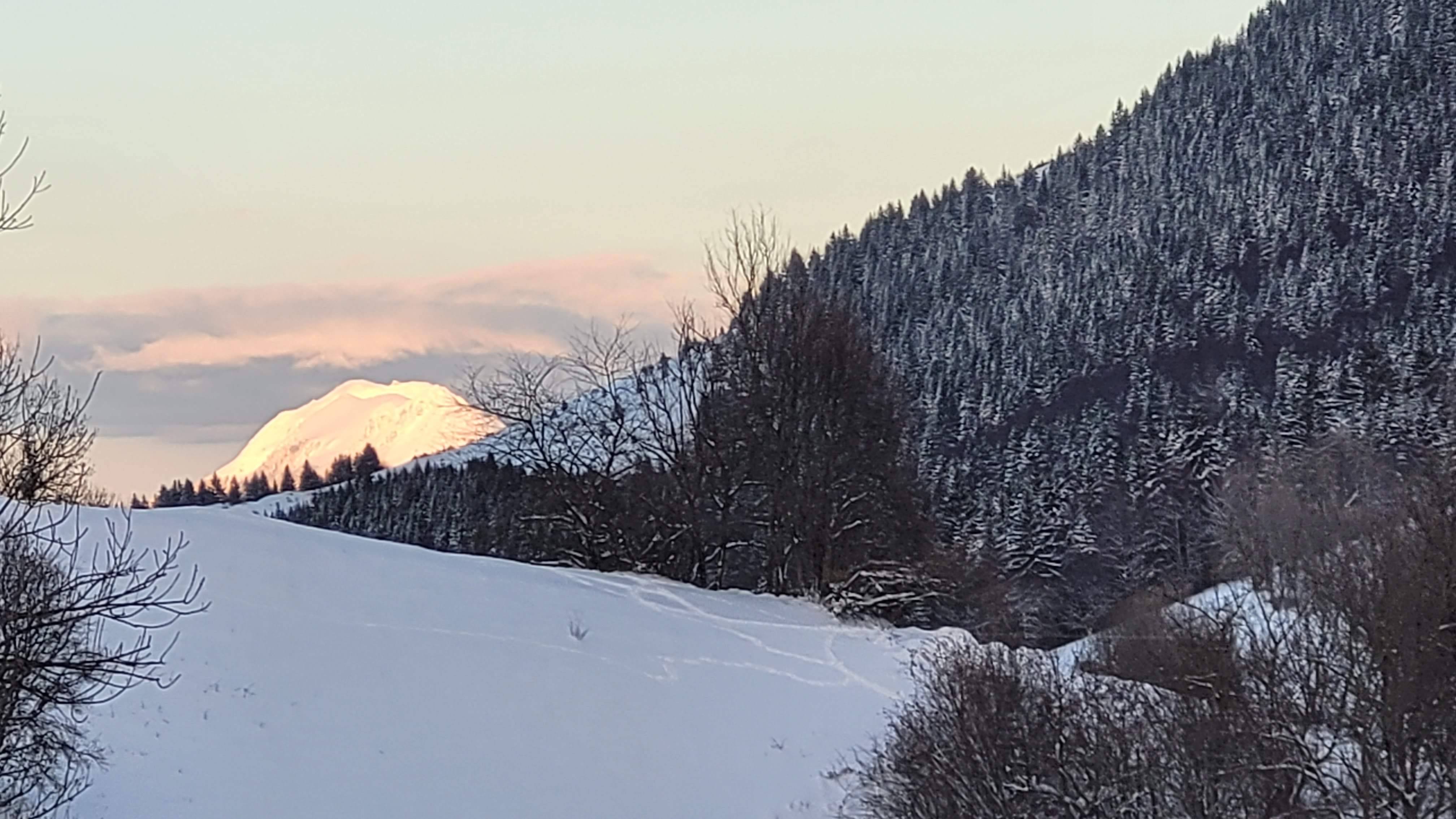 Photo n° 1 de l'avis de DAVID.A fait le 26/01/2023 à 17:30