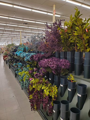 Craft Store «Hobby Lobby», reviews and photos, 1422 E Dixie Dr, Asheboro, NC 27203, USA