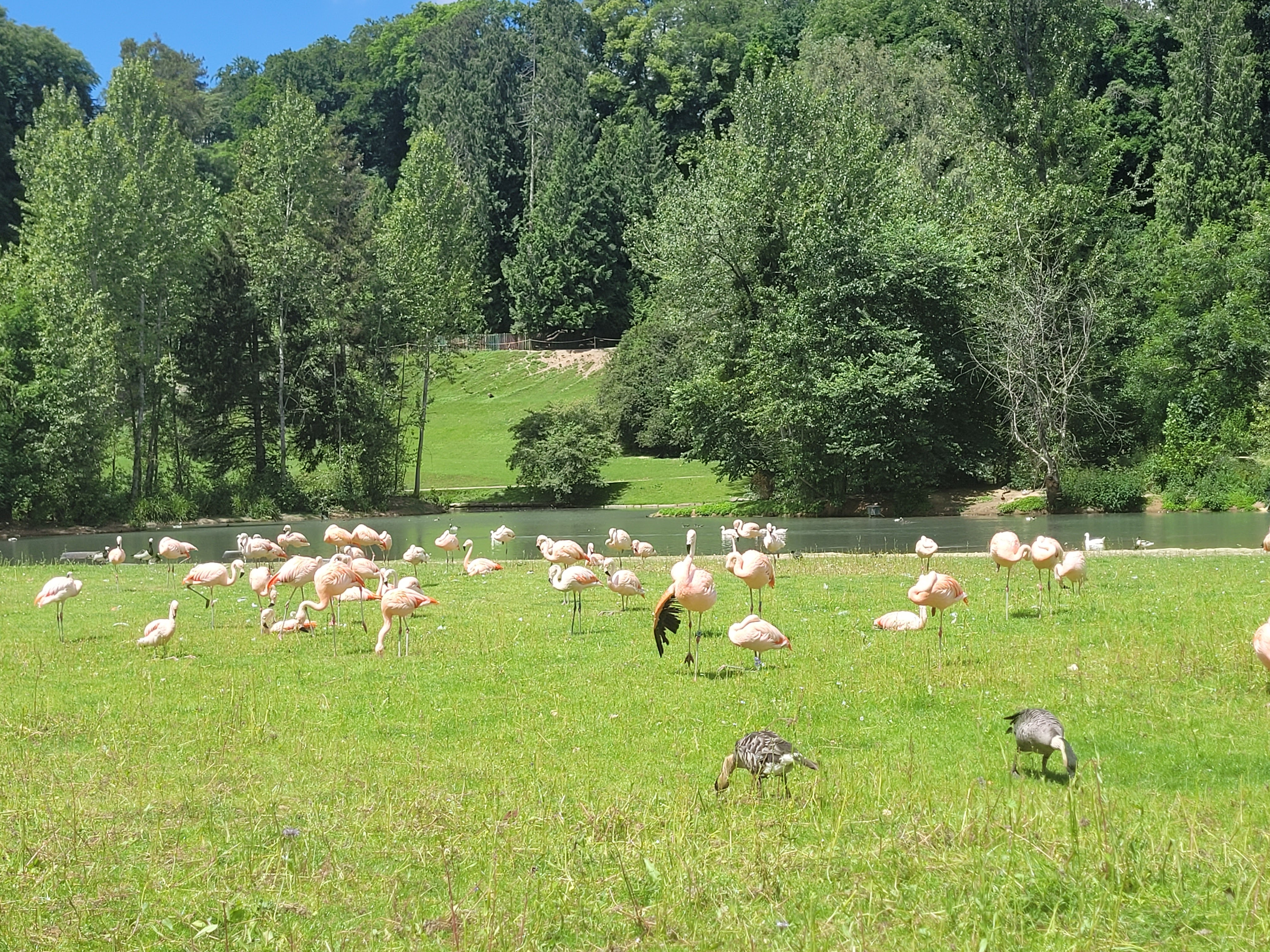 Photo n° 8 de l'avis de Vero.o fait le 14/06/2022 à 11:47