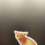 Photo n°2 de l'avis de Lucas.a fait le 08/03/2023 à 19:58 sur le  Moxy Wuerzburg à Würzburg