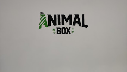The Animal Box