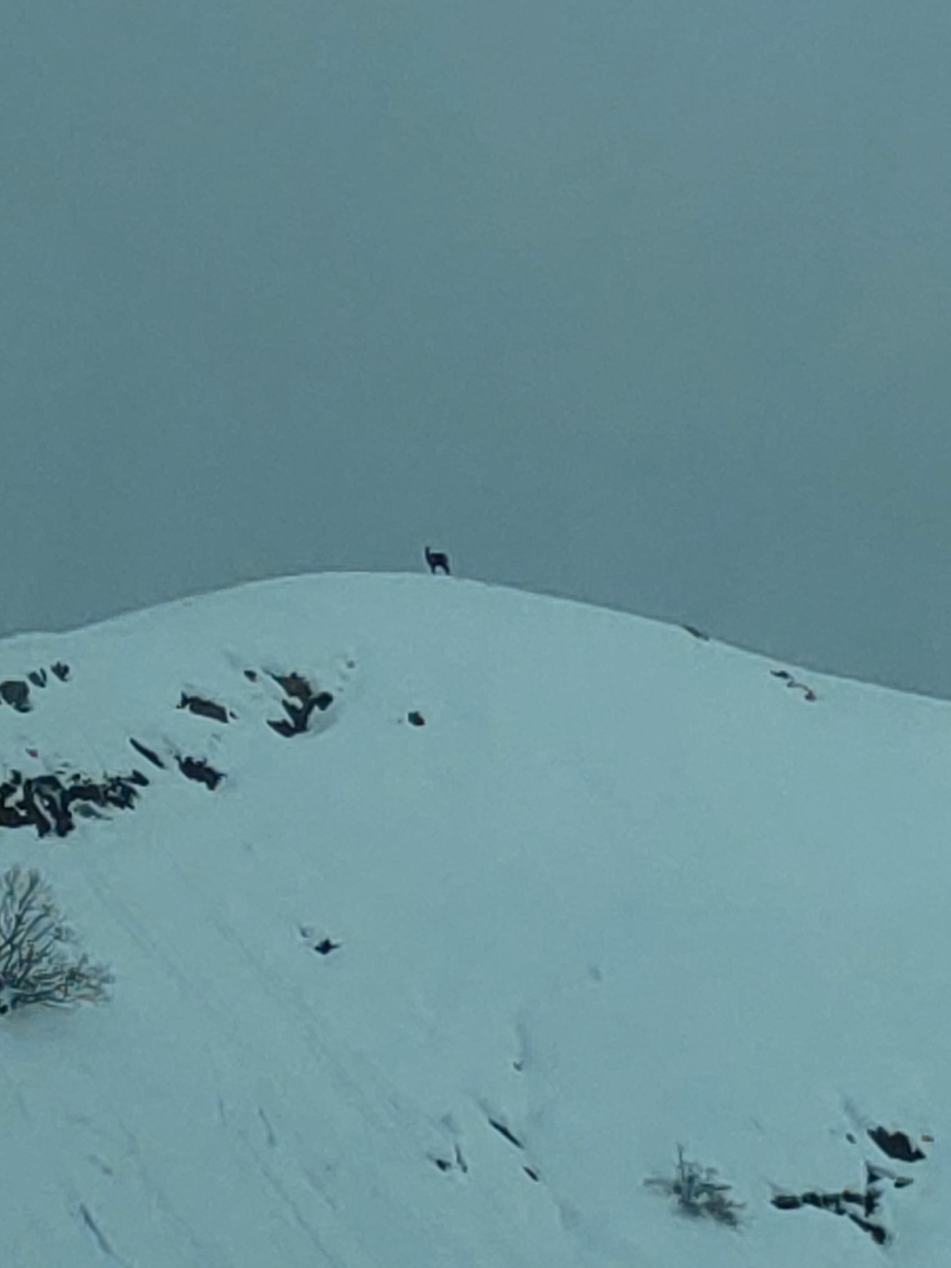 Photo n° 4 de l'avis de ZerK1nG. fait le 11/11/2019 à 14:53