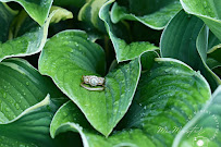 McMaster The Moment Photography - Photo 2 - Car repair in , Detroit