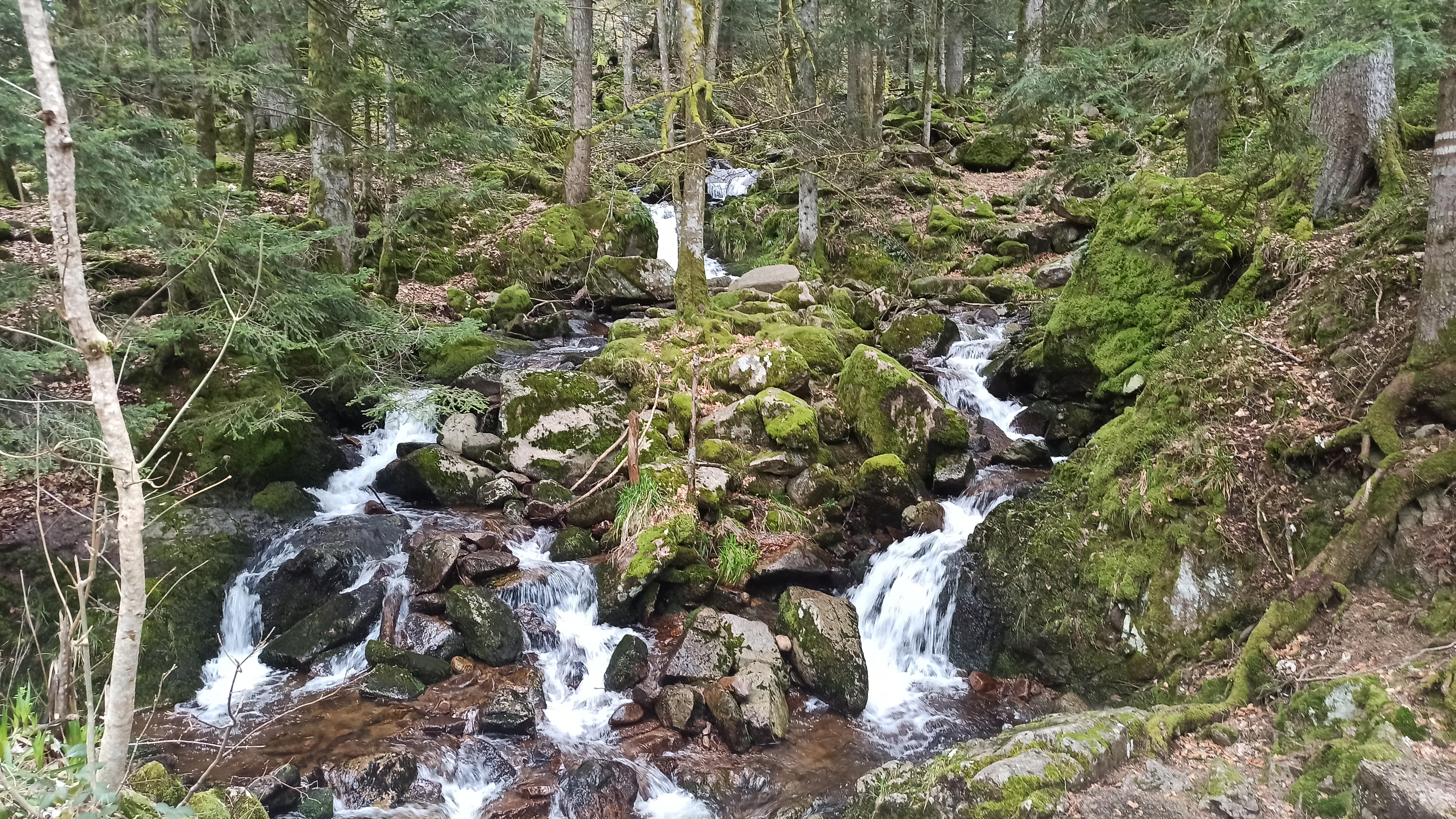 Photo n° 1 de l'avis de Corentin. fait le 30/03/2024 à 17:13