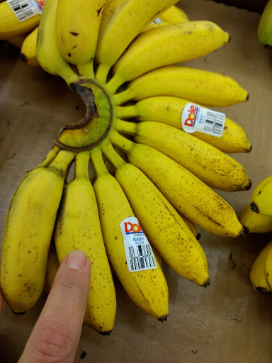 Shopping Mall «Mac Dade Mall», reviews and photos, 2600 MacDade Boulevard, Holmes, PA 19043, USA