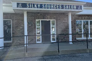 Silky Sources Salon /Sx3 image