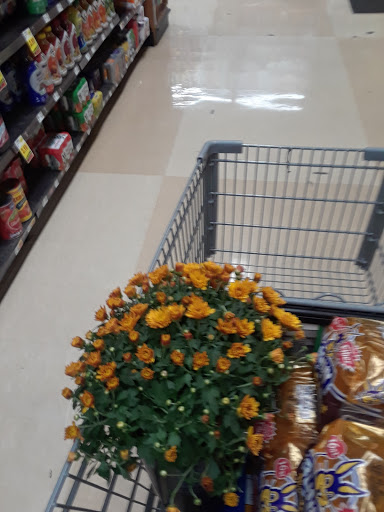 Grocery Store «Kroger», reviews and photos, 16919 Kercheval Ave, Grosse Pointe, MI 48230, USA