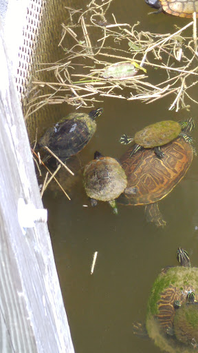 Community Center «Volunteer Park Community Center», reviews and photos, 12050 W Sunrise Blvd, Plantation, FL 33323, USA