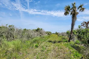 Canaveral Marshes Conservation Area Trailhead image