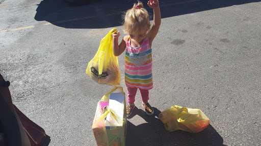 Discount Store «Dollar General», reviews and photos, 9680 US-31, Interlochen, MI 49643, USA