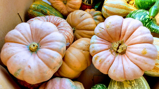 Supermarket «Weis Markets», reviews and photos, 1020 Northern Blvd, South Abington Township, PA 18411, USA