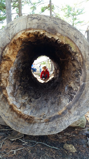 Nature Preserve «Shaw Nature Reserve», reviews and photos, 307 Pinetum Loop Rd, Gray Summit, MO 63039, USA