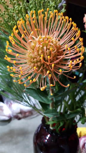 Florist «Green Cottage», reviews and photos, 1204 NY-213, High Falls, NY 12440, USA