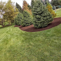 The Red Flowers Landscaping - Photo 5 - Car repair in , Joliet