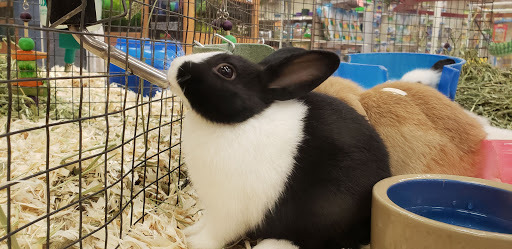 Pet Store «The Pet Pad», reviews and photos, 1239 NW Maynard Rd, Cary, NC 27513, USA