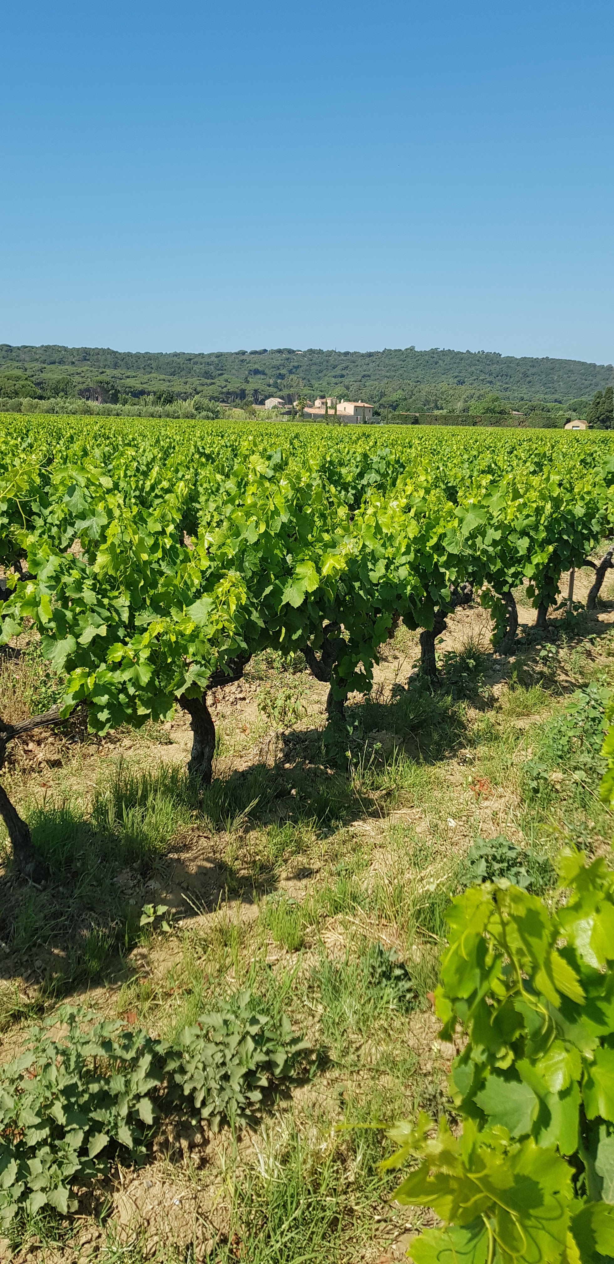 Photo n° 3 de l'avis de Dirk. fait le 23/06/2019 à 18:51
