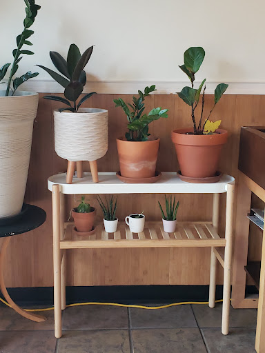 Coffee Shop «Common Grounds Coffee House», reviews and photos, 600 E Grand Ave STE 6, Carbondale, IL 62901, USA