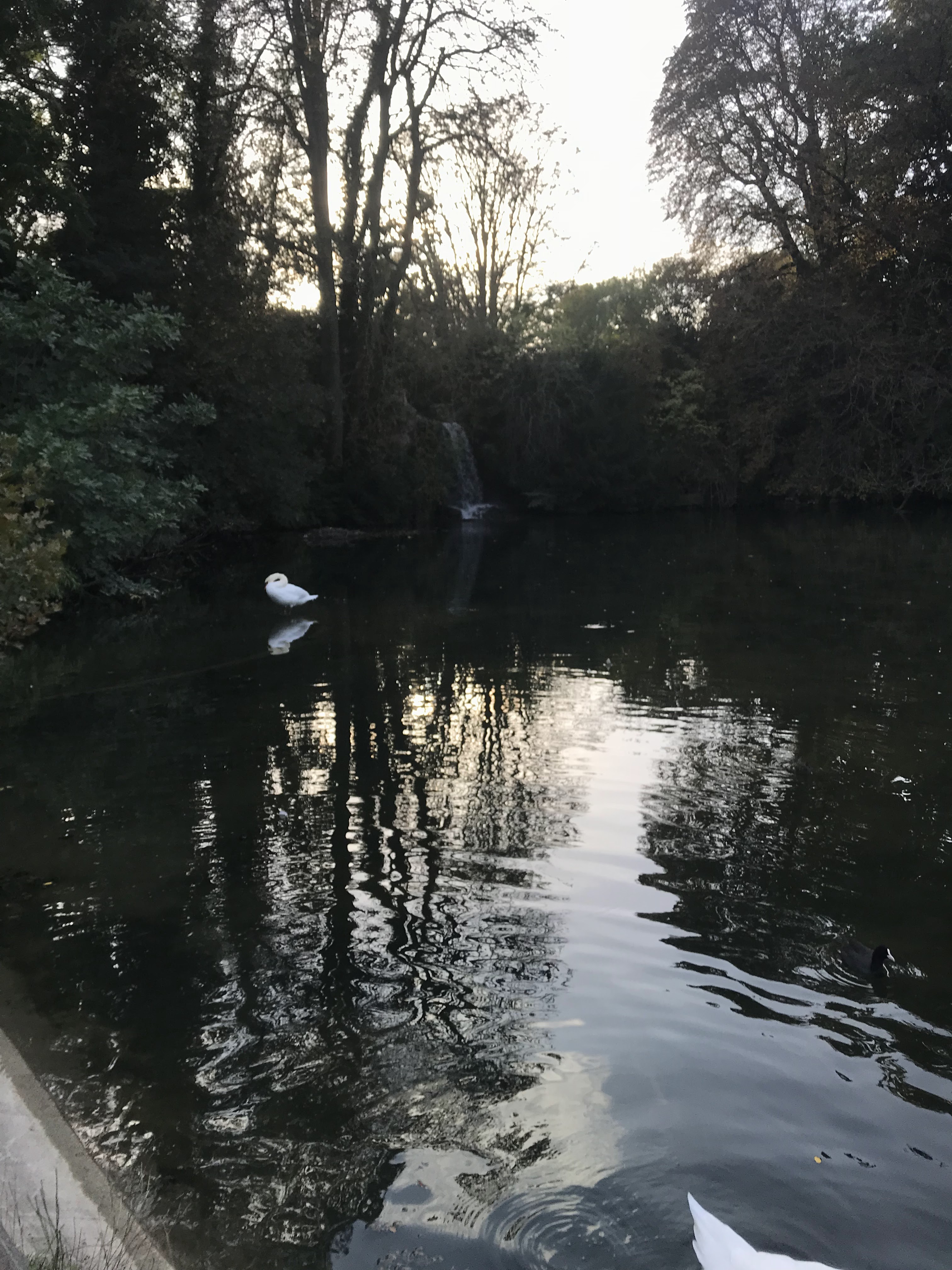 Photo n° 1 de l'avis de Martin.a fait le 07/12/2018 à 22:31