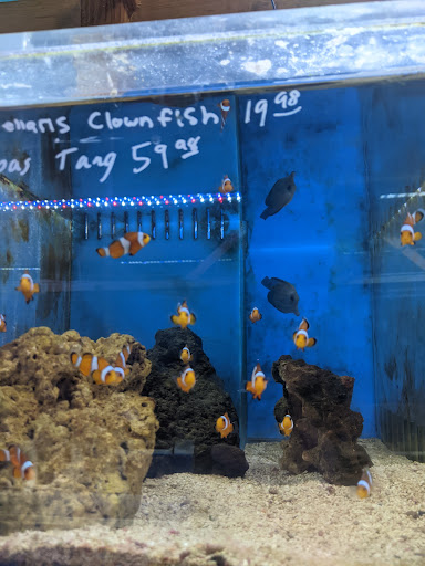 Tropical Fish Store «The Fish Store», reviews and photos, 12320 Lake City Way NE, Seattle, WA 98125, USA