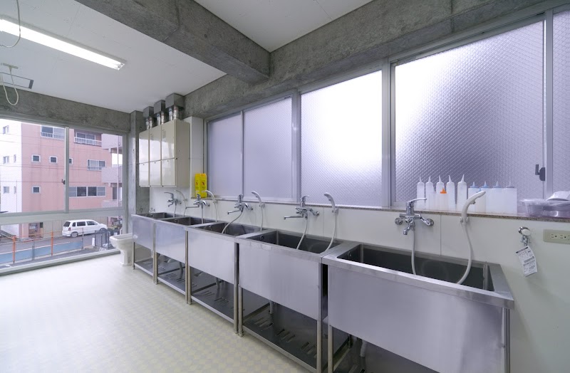 ブレーメン動物専門学校 徳島県徳島市佐古一番町 専門学校 グルコミ