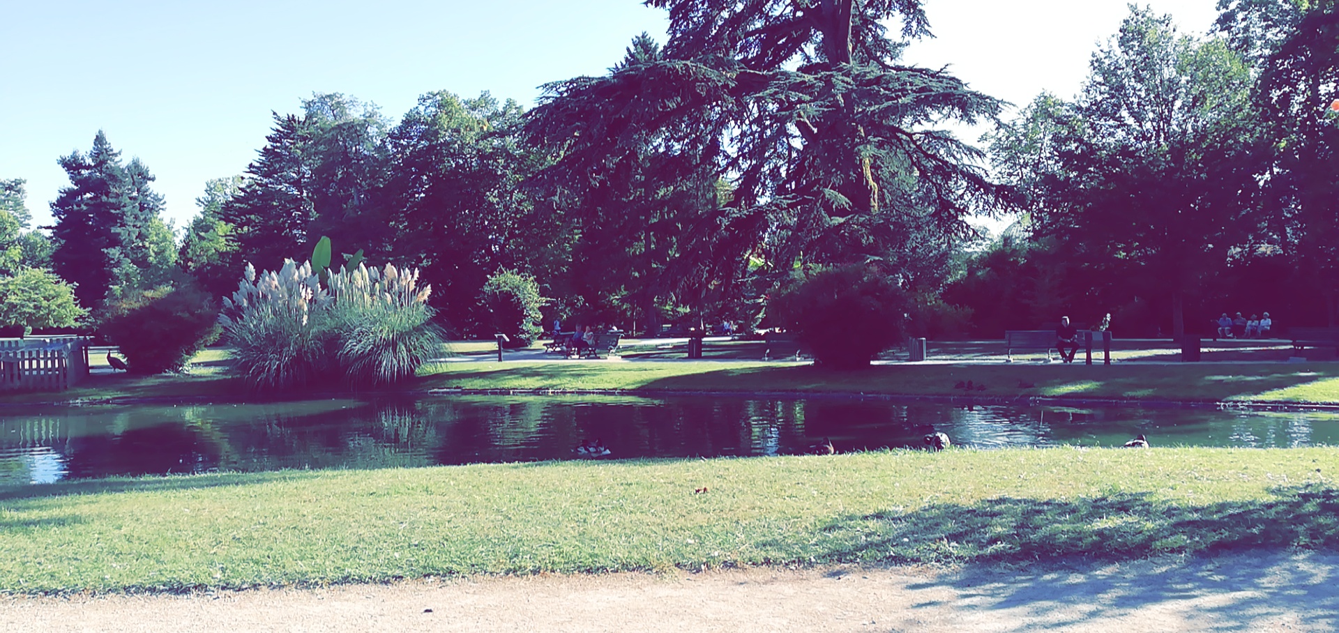 Photo n° 5 de l'avis de Jay.. fait le 07/09/2018 à 11:57