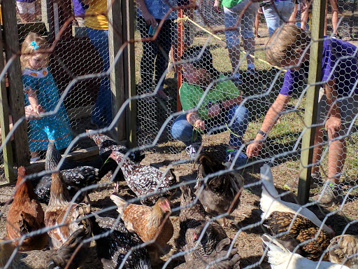 Tourist Attraction «Cajun Country Corn», reviews and photos, 40833 LA-16, Amite City, LA 70422, USA