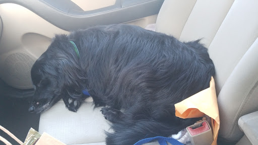 Tobacco Shop «Mr. Smoke», reviews and photos, 2020 West St ste D, Annapolis, MD 21401, USA