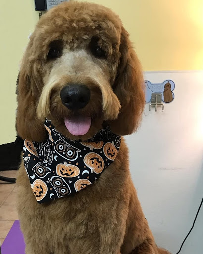 Pet Supply Store «Animal House Grooming & Quality», reviews and photos, 229 W Absecon Blvd, Absecon, NJ 08201, USA