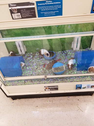 Pet Supply Store «PetSmart», reviews and photos, 6251 N Davis Hwy, Pensacola, FL 32504, USA