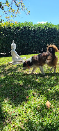 Sams Pet House - Photo 2 - Car repair in , Miami