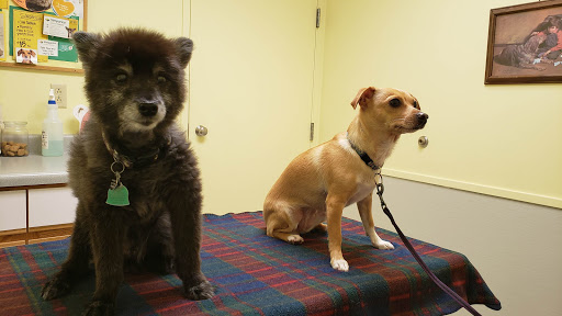 5321 Lansing Rd, Bancroft, MI 48414, USA