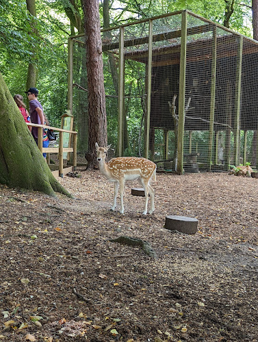 Reviews of New Forest Wildlife Park in Southampton - Museum