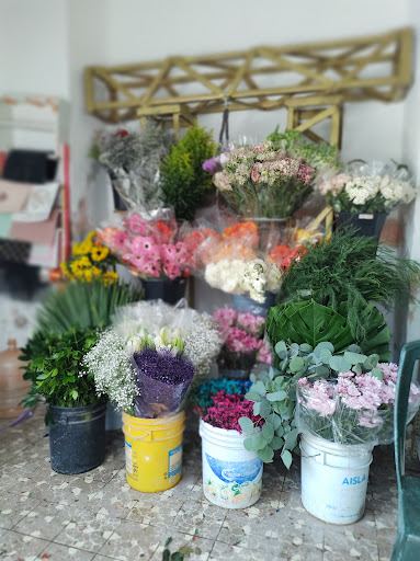 María Floristería florería en  en la zona Barrio de San José