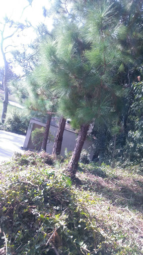 Amusement Center «SpeedZone Los Angeles», reviews and photos