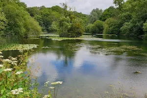 Cherington Pond image