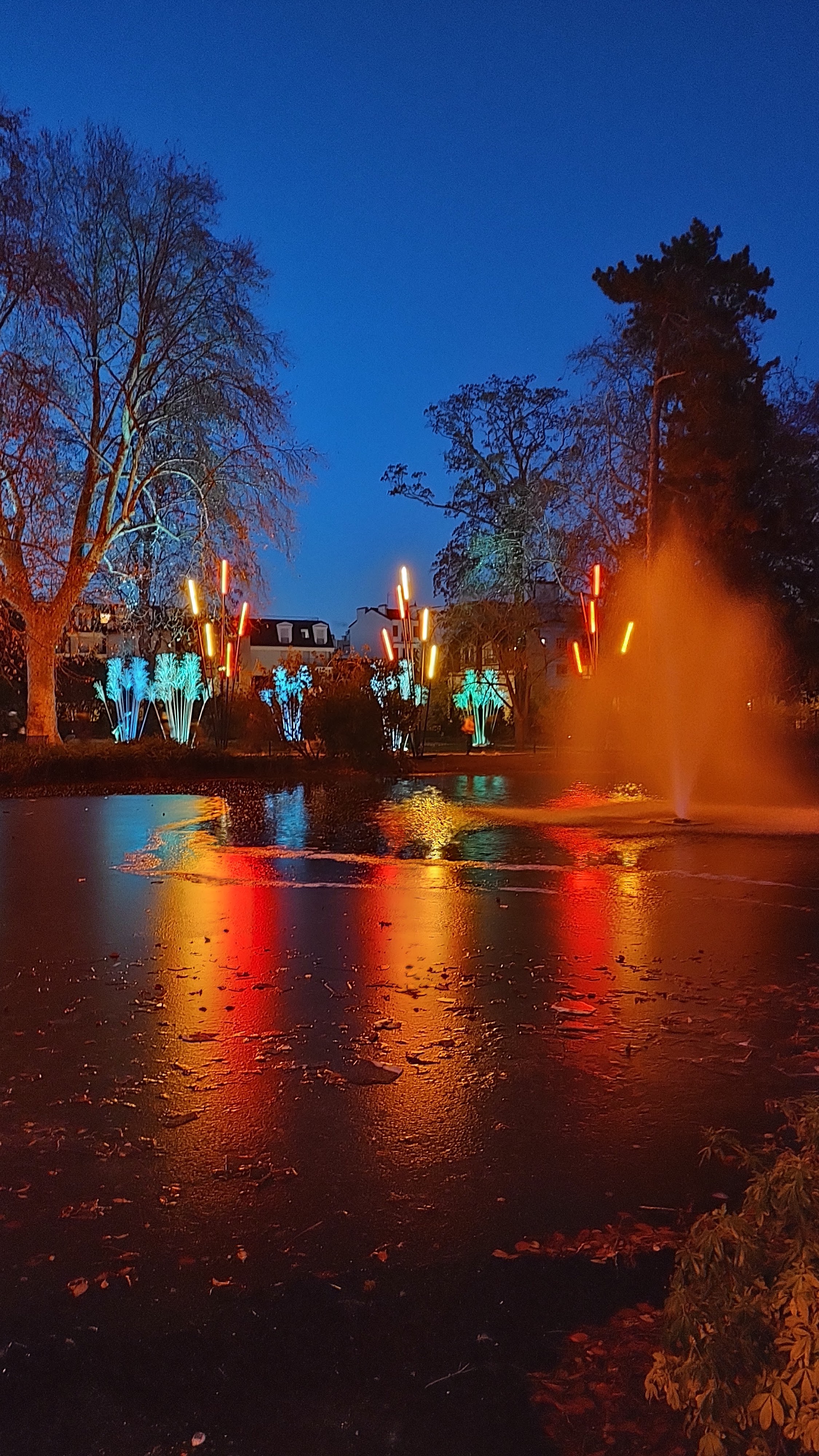 Photo n° 16 de l'avis de Romulus.o fait le 21/11/2022 à 12:52