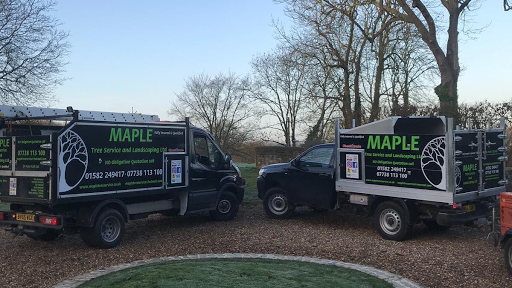Maple Tree Service And Landscaping Ltd