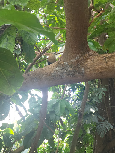 Zoo «Rainforest Pyramid», reviews and photos, 1 Hope Blvd, Galveston, TX 77554, USA