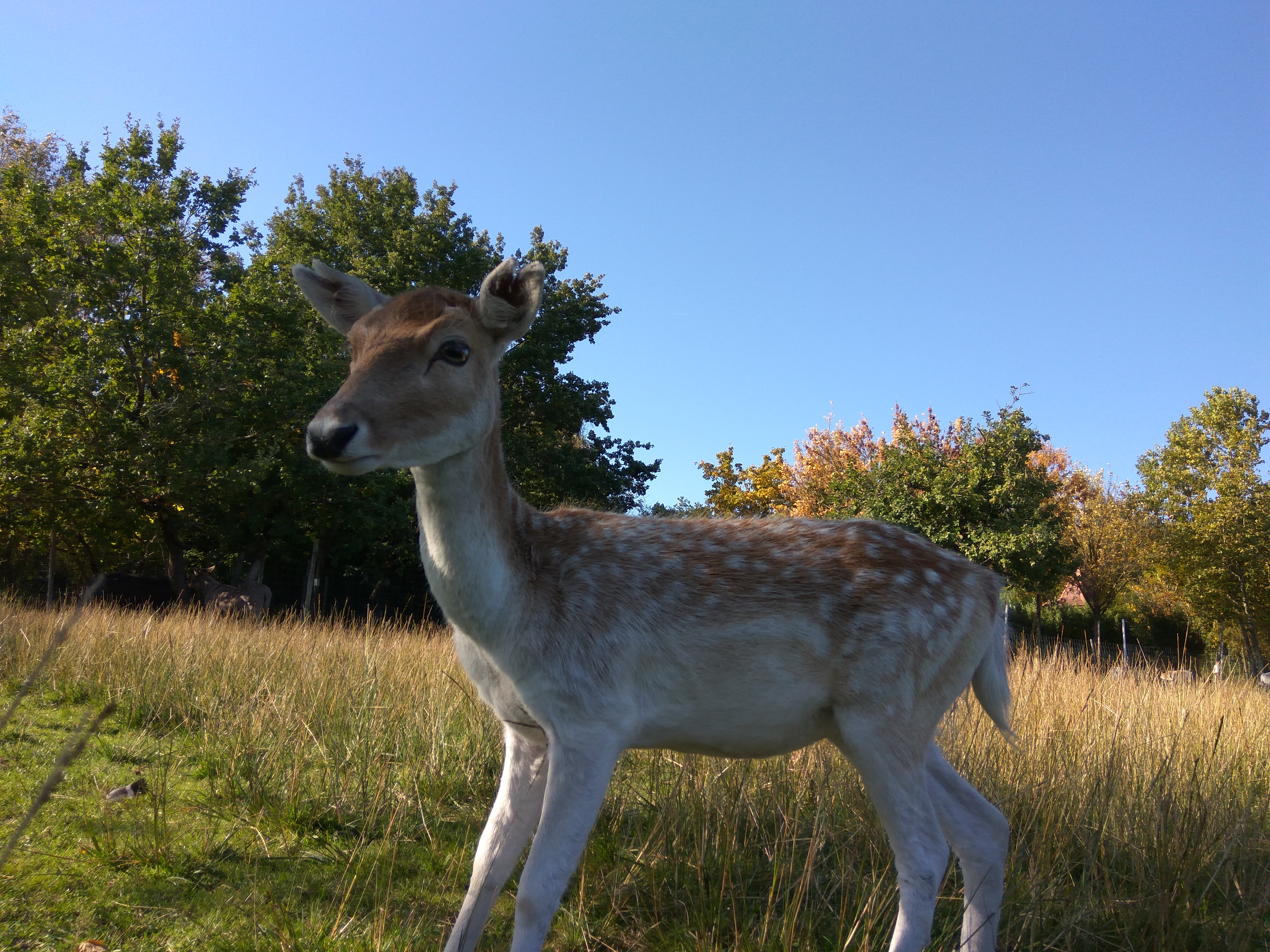 Photo n° 1 de l'avis de Lorris.i fait le 17/10/2017 à 21:35