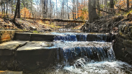 Nature Preserve «Jefferson Memorial Forest», reviews and photos, 11311 Mitchell Hill Rd, Fairdale, KY 40118, USA